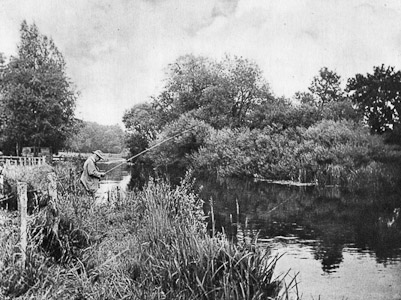 Boot Island below Stockbridge on the Test Plate XVI An Album of the Chalkstreams 1946