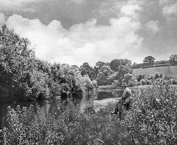 In the heat wave Plate XX An Album of the Chalk Streams 1946