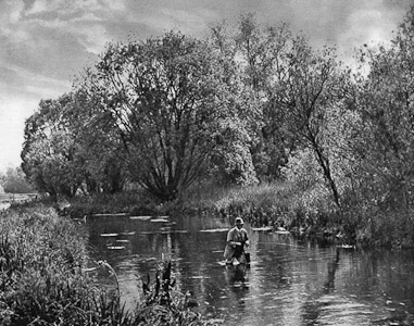 On a Test tributary Plate XXXVII An Album of the Chalk Streams 1946
