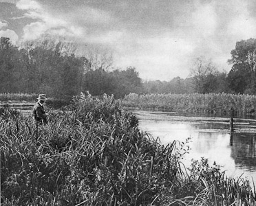 The shallows at Leckford on the Test Plate XIII An Album of the Chalkstreams 1946