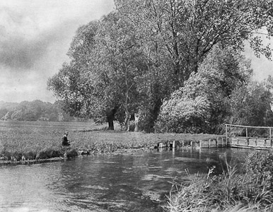 Wind in the willows Abbots Barton on the Itchen Plate XLVII An Album of the Chalk Streams 1946