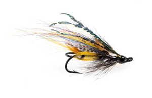 Hairwing Jock Scott