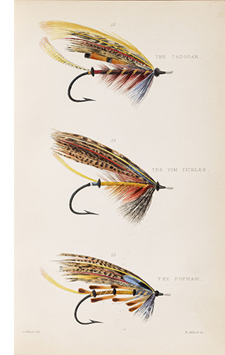 Jones's Guide to Norway plate 5